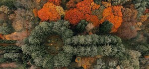 Інстаграмна локація: арборетум у селі Страдч — ідеальне місце для осінньої фотосесії