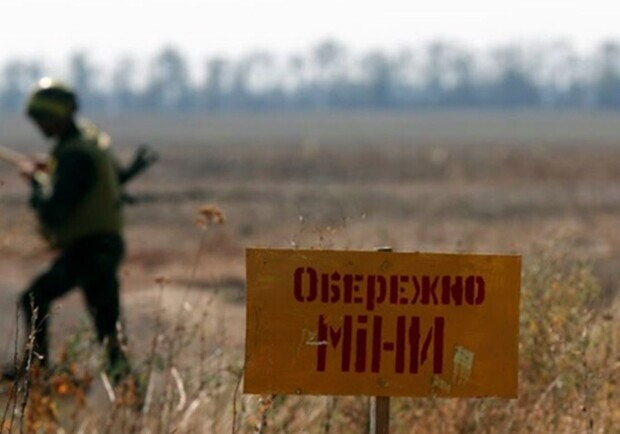В леса Киевской области нельзя будет ходить из-за мин еще минимум год. 