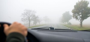 У Львові на найближчі дні прогнозують заморозки і густий туман