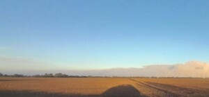 Пожар на территории Дунайского биосферного заповедника потушил дождь