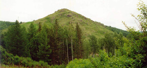 Активисты просят Зеленского запретить создание военного кладбища на Лысой горе