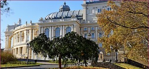 Золотий жовтень в Одесі: дивись, як це красиво (фото)