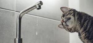 У Київській області через відключення світла можуть бути перебої з водою