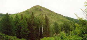 Петиция против создания военного кладбища на Лысой горе набрала голоса