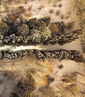 Обнови інстаграм: небанальні локації для зимової фотосесії у Львівській області 