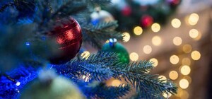 Стало известно, какой будет главная елка страны в этом году и где ее установят