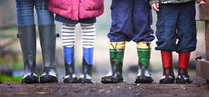 Посівний календар на грудень 2022: що робити у саду та на городі у перший місяць зими