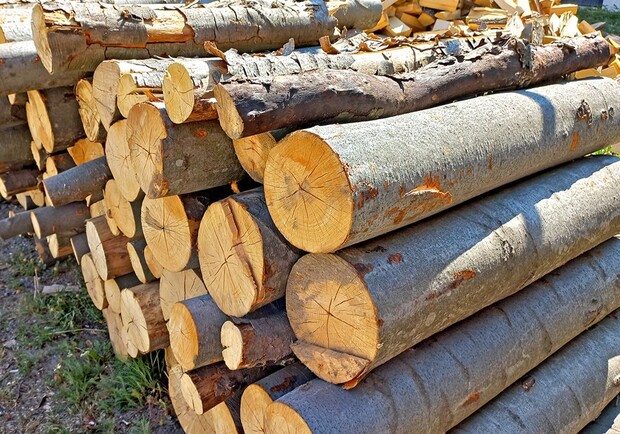На Київщині затримали шахраїв, які продавали неіснуючі дрова у соцмережах. 