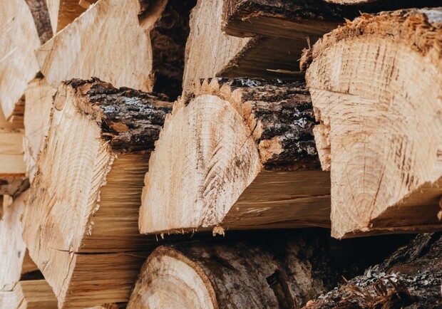 В Україні зросли ціни на дрова: за скільки можна купити деревину. 