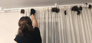 У Трускавці зграя кажанів 