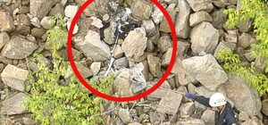 Расчленил и спрятал тела: жителя Запорожья обвиняют в убийстве трех человек