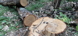 На Харківщині прокурори через суд вимагають стягнути з 