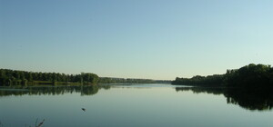 У Харкові водосховище незаконно використовували для розведення риби