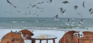 Ожеледиця та санки: до Одеси прийшла справжня зима (фото)