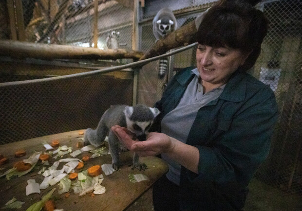 За 2022 рік у зоопарку Києва народилося 300 тварин. 