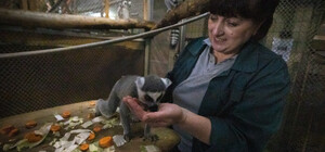 За 2022 рік у зоопарку Києва народилося 300 тварин - фото