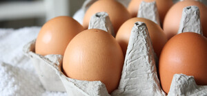Стало известно, когда в Украине подешевеют куриные яйца: какие будут цены