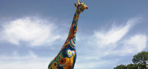 Під час реконструкції Київського зоопарку розкрали мільйони гривень