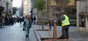У центрі Львова висадять 