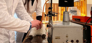 Скандал с издевательствами над животными в одном из вузов Киева: делом заинтересовалась полиция