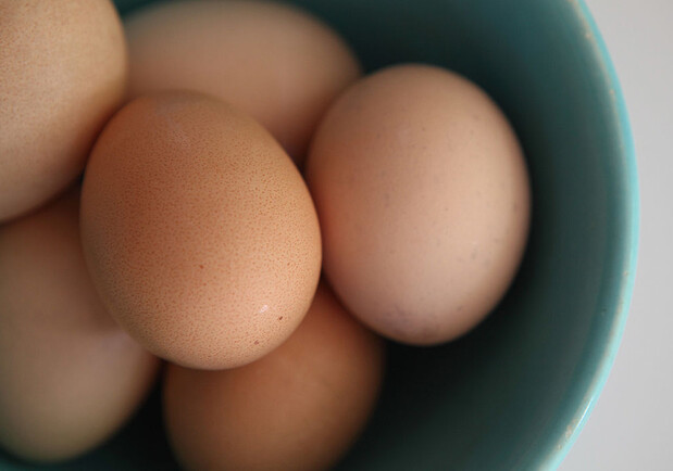 В Україні скоро подешевшають курячі яйця: коли і наскільки. 