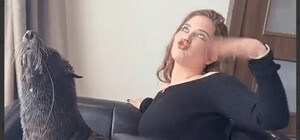 Хотели показать как играют котики: в 