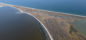 Мертвые дельфины и обломки ракет: эксперты рассказали о преступлениях оккупантов в Черном море 