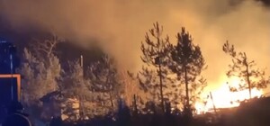 Вибрация шла по всему городу: в оккупированном Бердянске ВСУ ударили по аэропорту