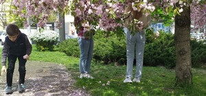 Вночі та вранці 9-10 травня у Львові прогнозують заморозки