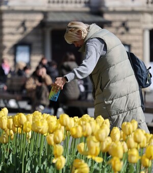 День матері: афіша святкових заходів у Львові на 14 травня 