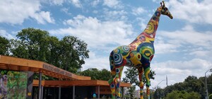 Внаслідок нічної атаки на Київ, уламки ракети впали на територію зоопарку: відео