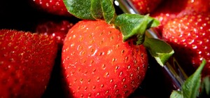 Де цього тижня у Києві пройдуть продуктові ярмарки. Адреси