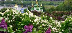 Ботанический сад им. Гришко приглашает волонтеров