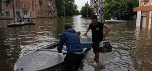 В Днепре волонтеры ищут хозяев животных, которых спасли из Херсонской области