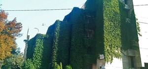 У Києві виставили на продаж будівлю 