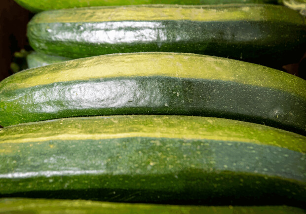 Продуктовые ярмарки в Киеве 1-2 июля: адреса. 