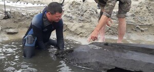 У Запоріжжі виявили човен, якому може бути понад тисячу років