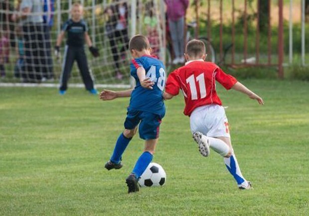 В ходе реконструкции футбольного поля исчезли 4 миллиона гривен - 