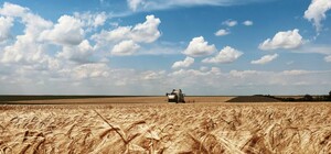 Аграрії Одеської області намолотили понад 800 тисяч тонн зерна