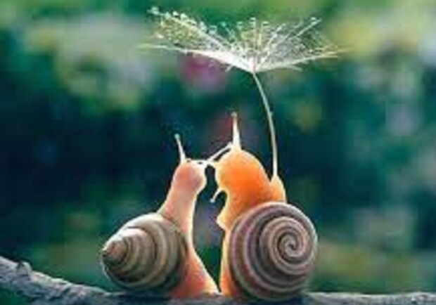 Счастье всегда рядом - фото