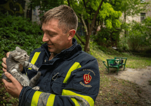 Рятувальники у Шевченківському районі врятували кошеня, яке забралося високо на дерево. 