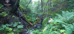 На Самбірщині грибник зірвався з 10-метрового обриву 