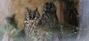 У львівському парку 