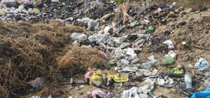 На Одещині виявили масштабне нелегальне звалище