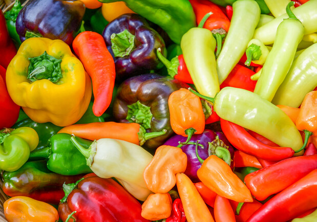 Де на цих вихідних у Києві пройдуть продуктові ярмарки. Адреси - фото: Getty Images/Barbara Rich