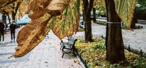 В Одесу нарешті прийшла справжня осінь (фото, відео)