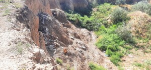 В Одесской области обнаружили заброшенный карьер с трупами животных