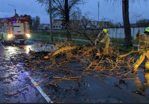 Через шквальний вітер у Києві вже двоє загиблих та 7 постраждалих. 