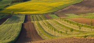 У Львівській області конфіскували російську землю