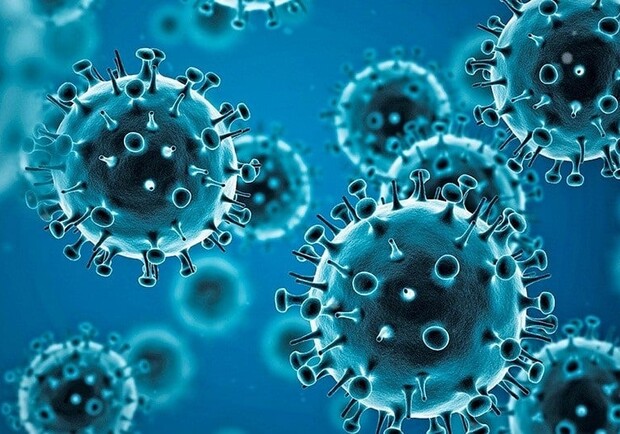 В Украине зарегистрирован первый случай нового коронавируса «Пирола»: симптомы. 